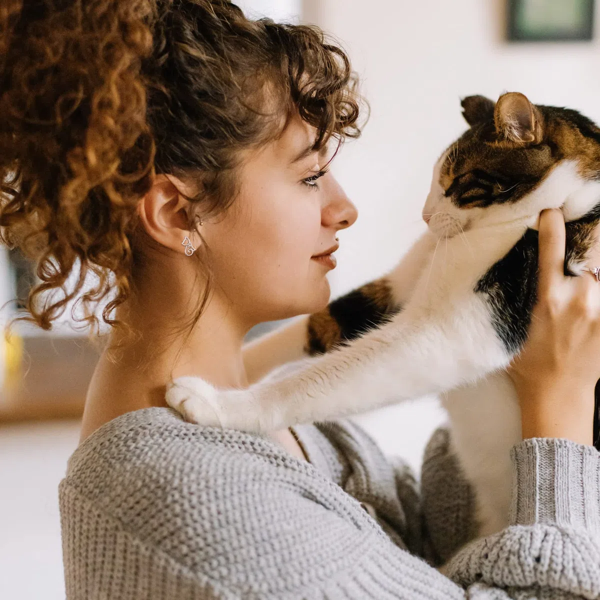 Orecchini a Lobo con Gatto in Argento Sterling da Donna, Orecchini a Cerchio con Gatto Carino Orecchini con Stella di David Orecchini con Fiocco di Neve Gioielli Regalo