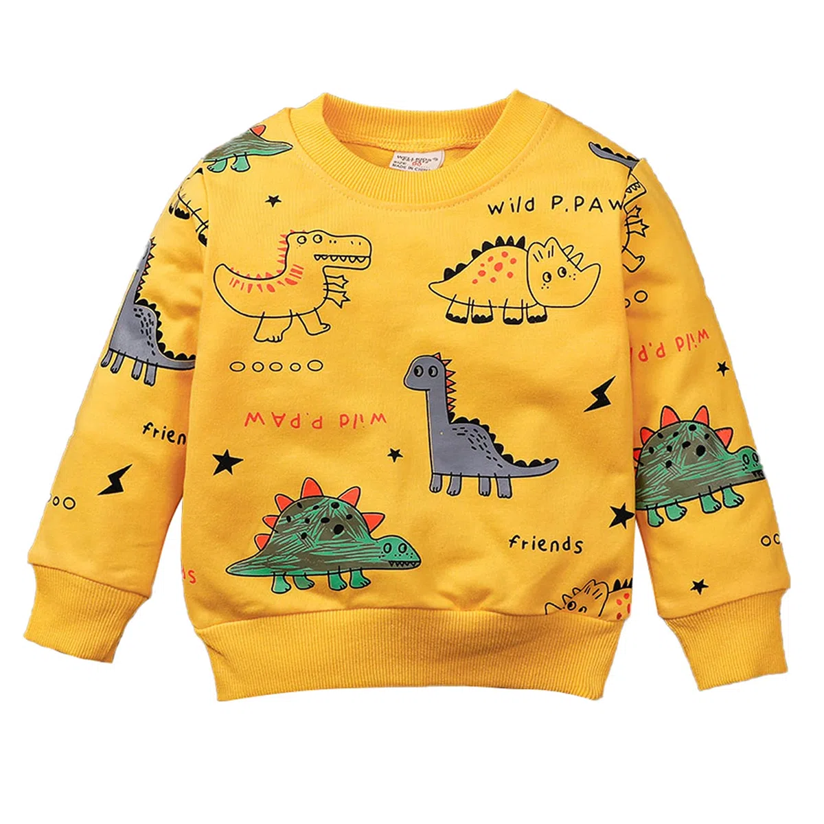 amropi Ragazzi Tuta Dinosauro Stampato Felpa e Jogging Pantaloni 2 Pezzi Completo Bambino Set per 1-6 Anni