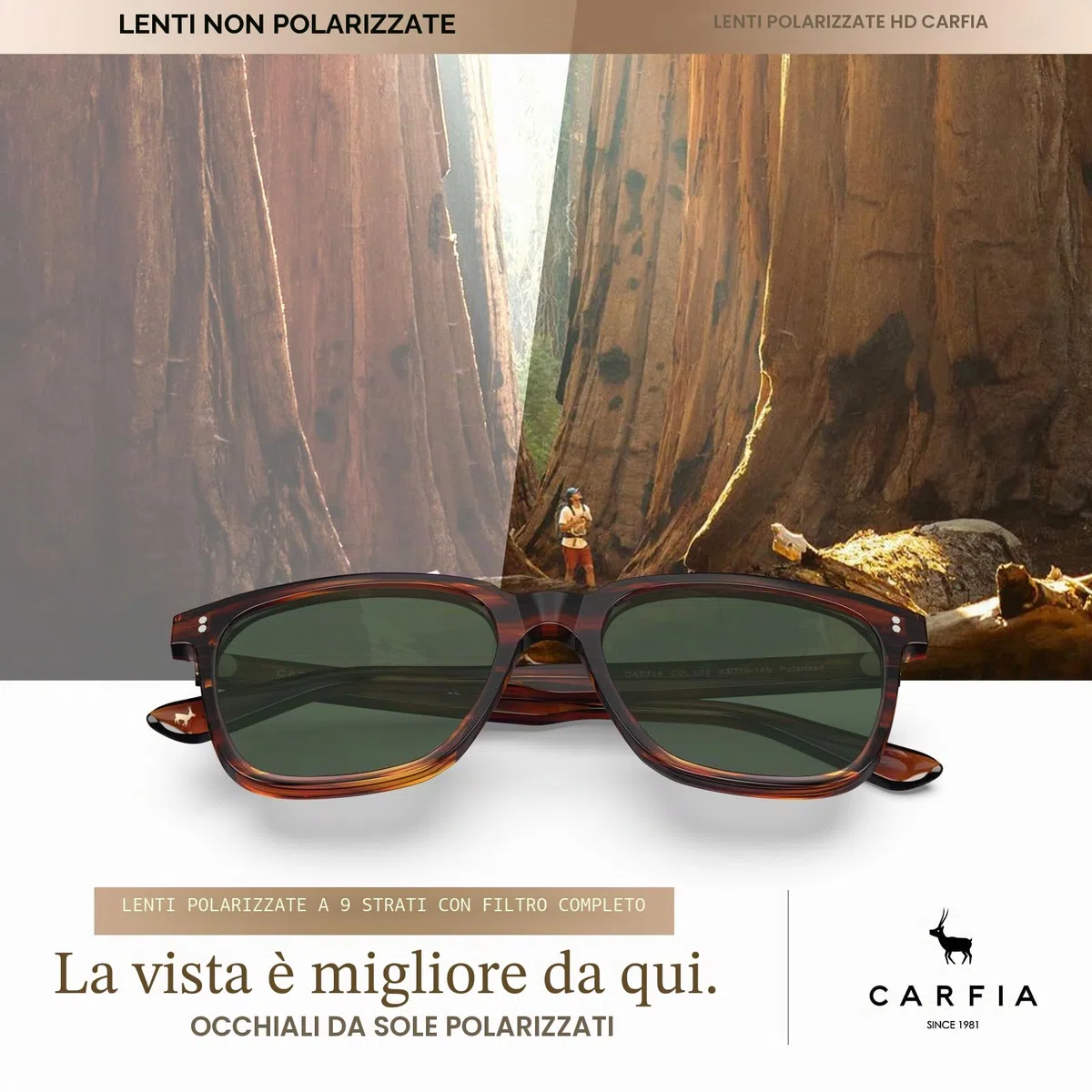 Carfia Vintage Polarizzati Occhiali da Sole da Uomo Protezione UV400 Telaio Acetato Stile Classico Elegante e Alla Moda