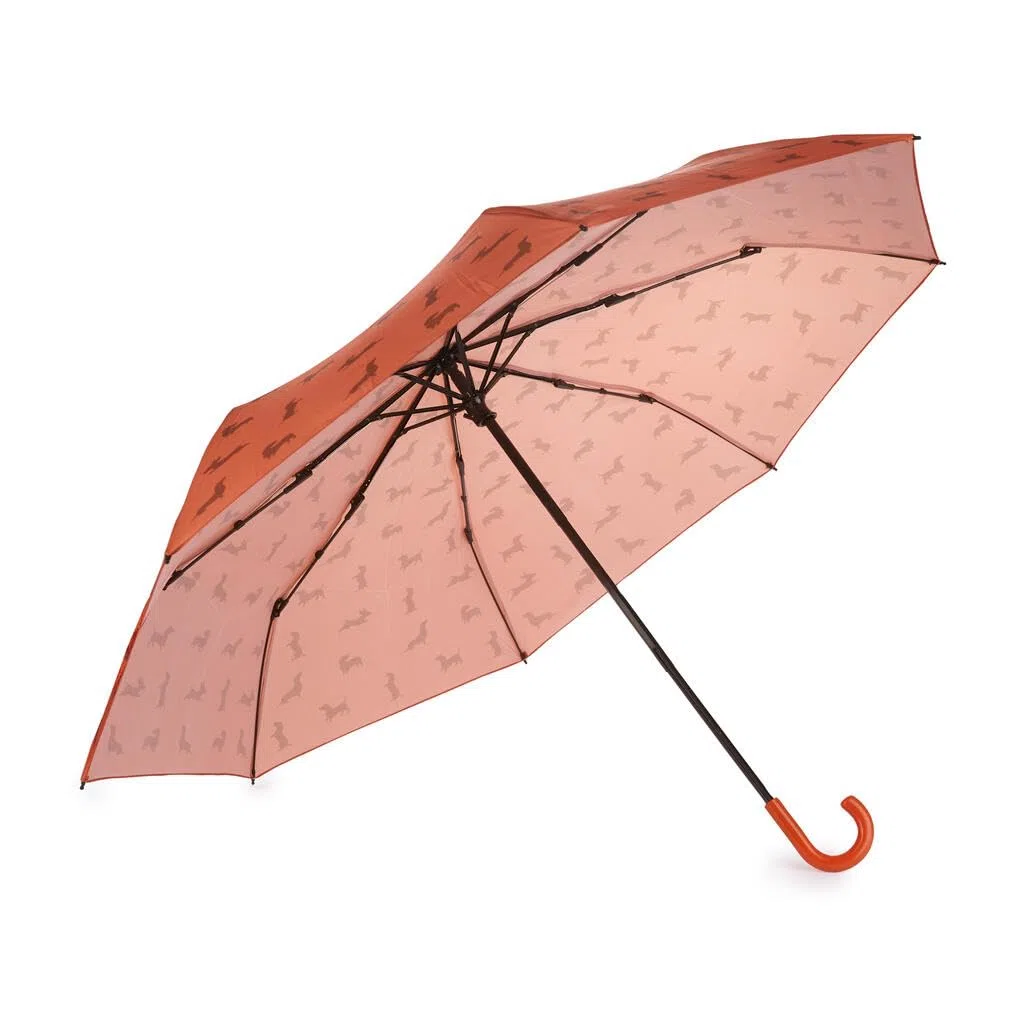 Balvi Ombrello Teckel Colore marrone Ombrello a forma di bassotto con custodia Nylon