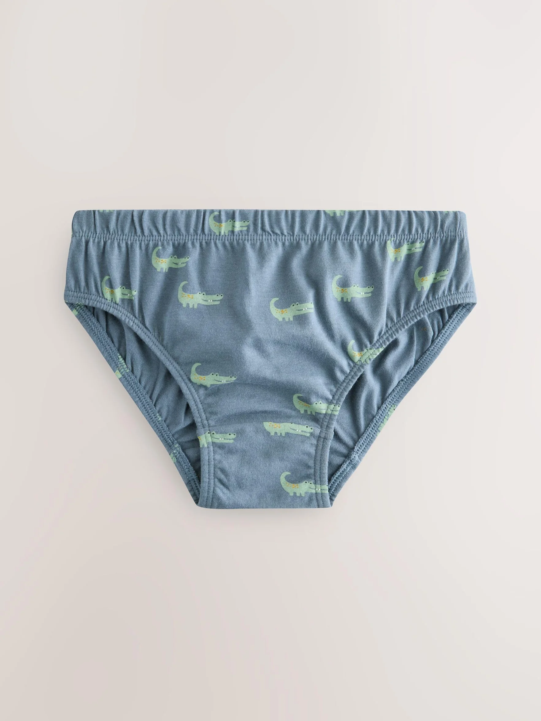 NEXT Ragazzo Confezione da 10 Slip