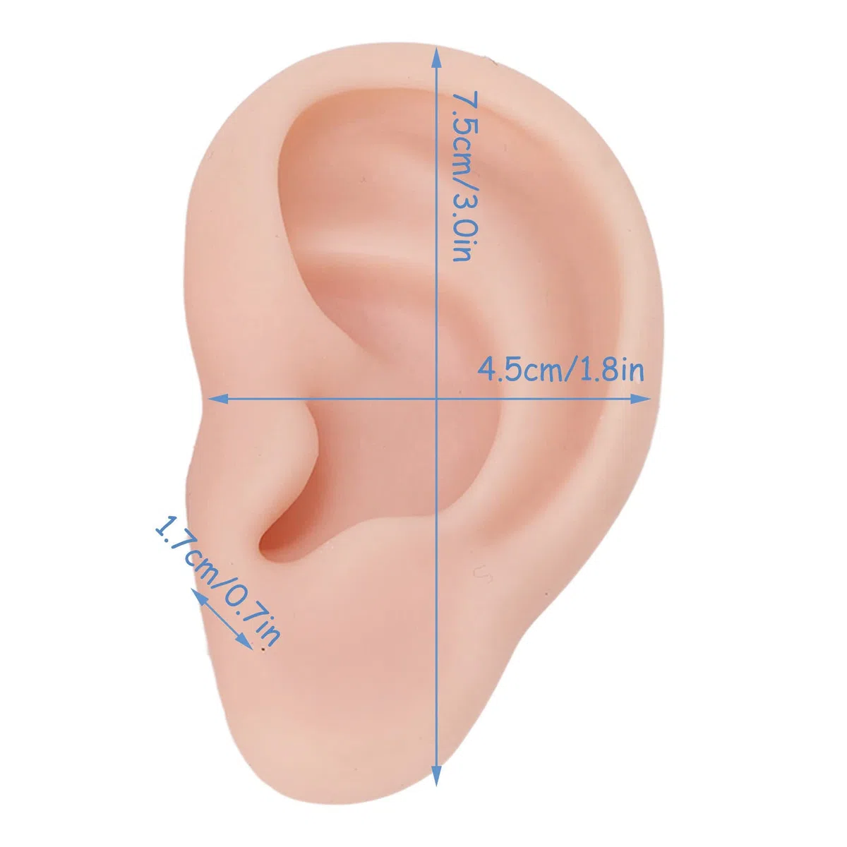 Orecchio finto 1 paio di orecchini in silicone modello morbido flessibile simulazione orecchio modello per orecchini visualizzazione orecchio piercing esercizio (2)
