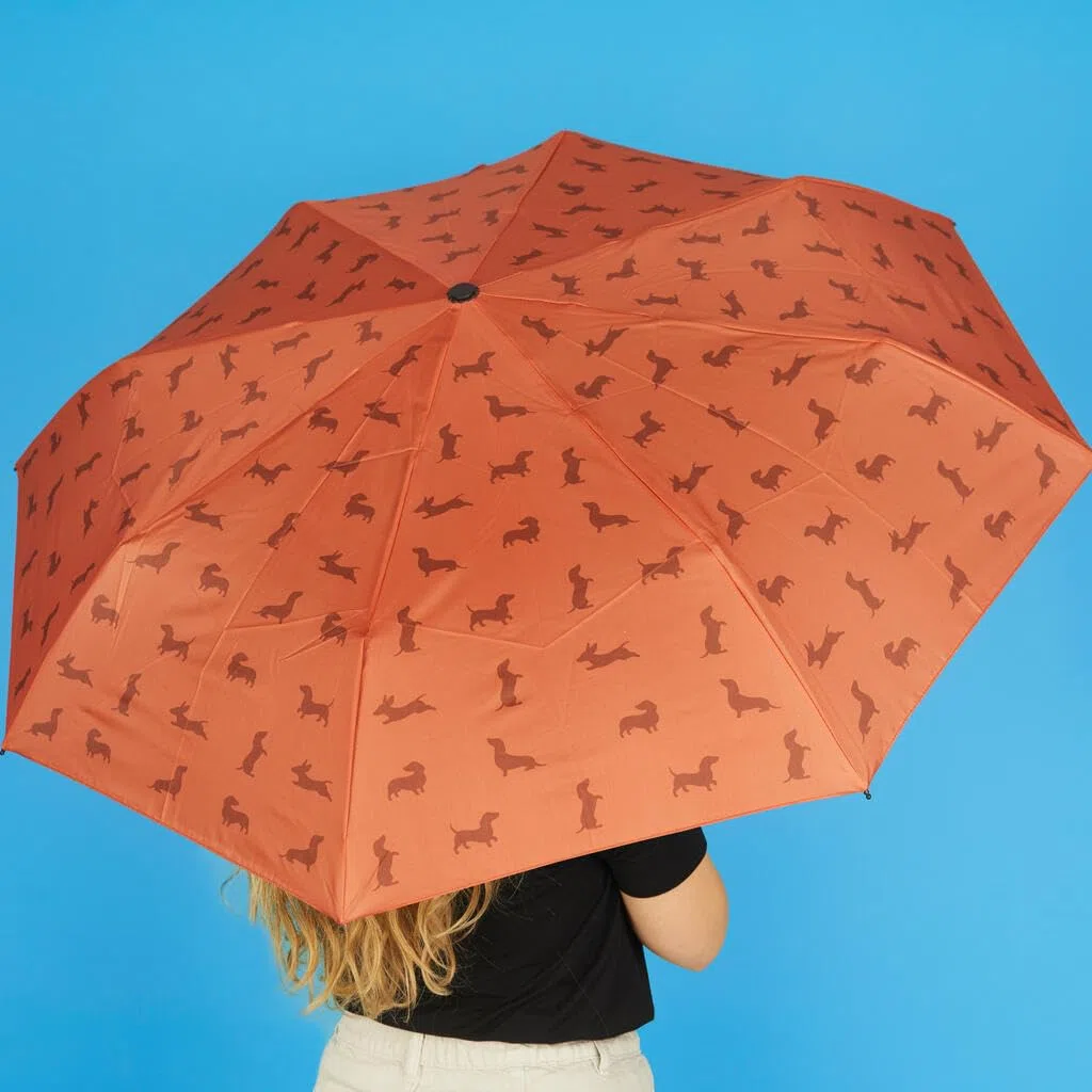 Balvi Ombrello Teckel Colore marrone Ombrello a forma di bassotto con custodia Nylon