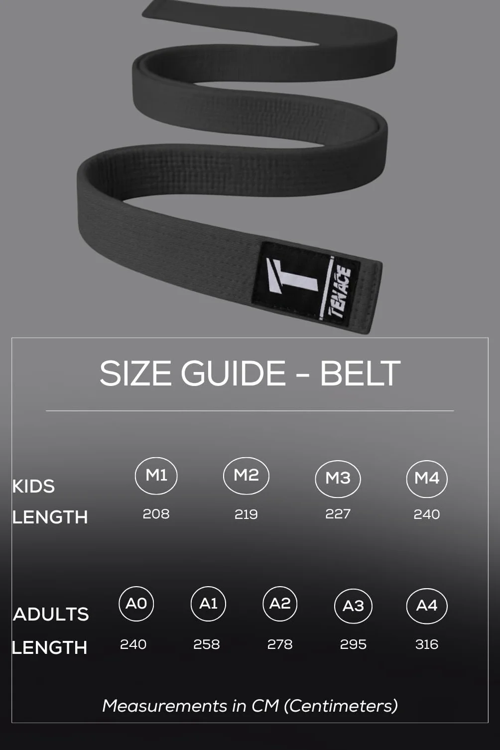 Tenace Cintura BJJ, Jiu Jitsu