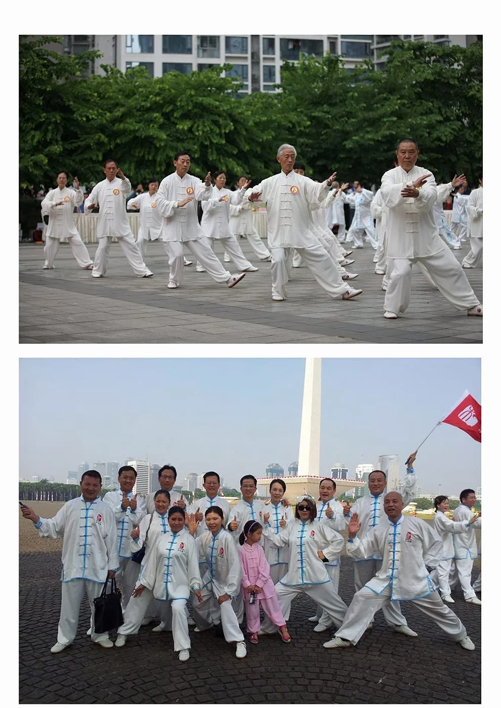 Cotone e Lino Tai Chi Abbigliamento Uniforme Kung Fu Unisex Abbigliamento per Arti Marziali (Un Set)