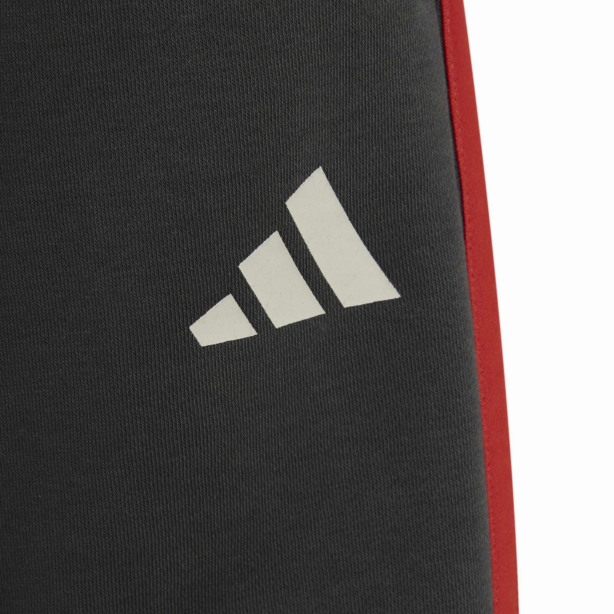 Adidas - Audi Revolut Formula One Team Dna S, Pantaloncini Unisex - Bambini e Ragazzi