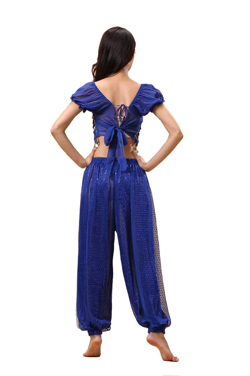 Completo da 2 Pezzi in Costume da Danza del Ventre a Tema Indiano di Bollywood per Donne con Top e Pantaloni (150-170cm, 30-60kg)