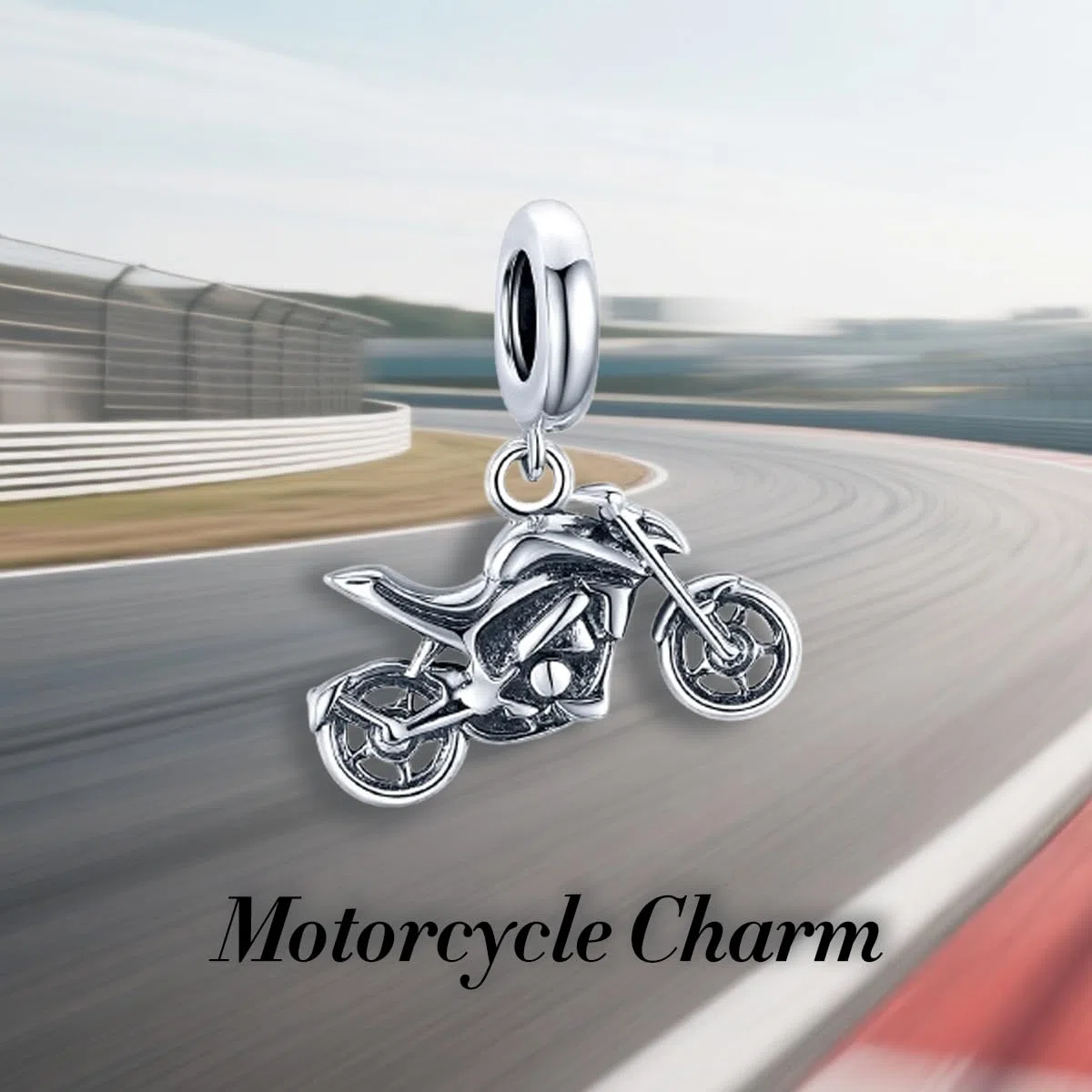 Charm Argento 925 Sterling Ciondolo Pendenti Charms per Bracciali e Collane, Regalo Donna per Compleanno Gioielleria