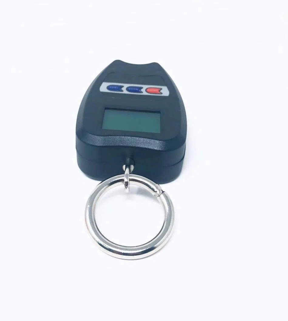 TEMPO DI SALDI Bilancia con Gancio Professionale Dinamometrica Max 200 Kg con Schermo Retroilluminato, Bilancia Digitale Pesa Valigia da Viaggio Portatile