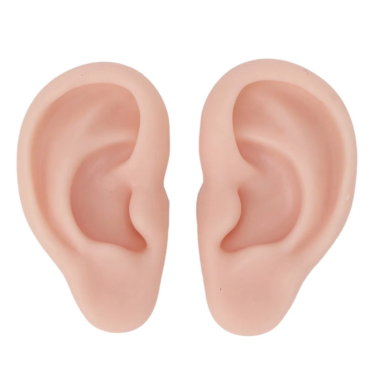 Orecchio finto 1 paio di orecchini in silicone modello morbido flessibile simulazione orecchio modello per orecchini visualizzazione orecchio piercing esercizio (2)