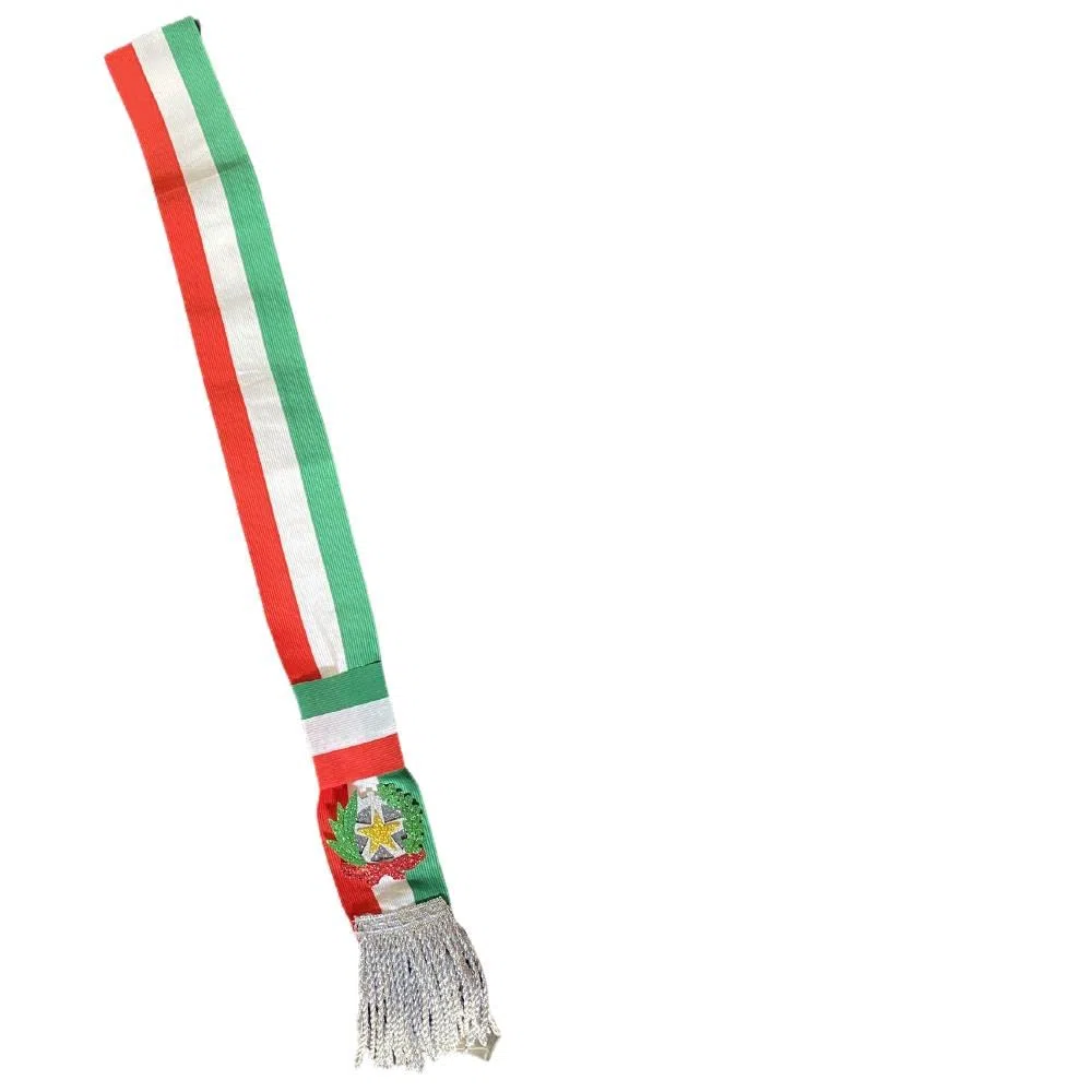 BrolloGroup Fascia da Sindaco Tricolore Modello Repubblica Frangia Oro o Argento Con Inserti Frange 100% Made in Italy | Personalizzabile con Stampa PS 04627