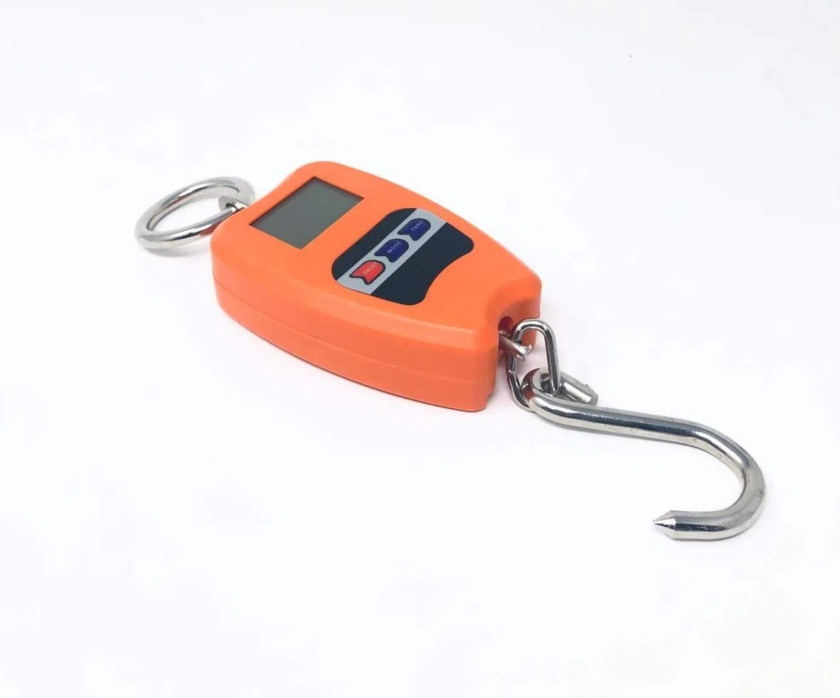 TEMPO DI SALDI Bilancia con Gancio Professionale Dinamometrica Max 200 Kg con Schermo Retroilluminato, Bilancia Digitale Pesa Valigia da Viaggio Portatile