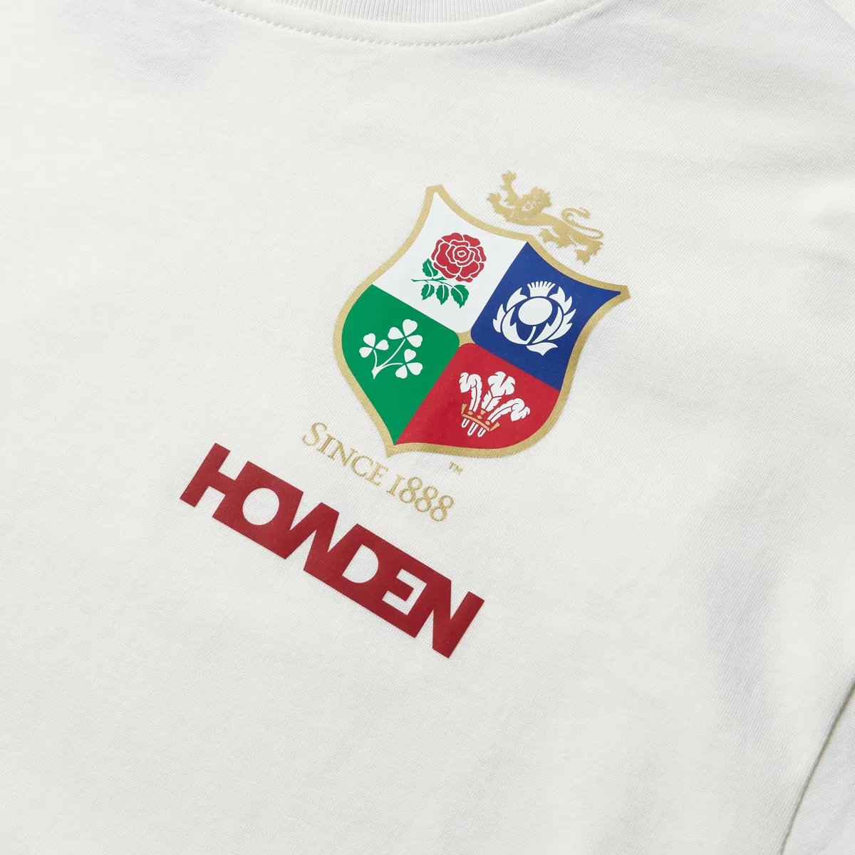Canterbury Cotone British And Irish Lions Camicia Uomo (Pacco da 1)