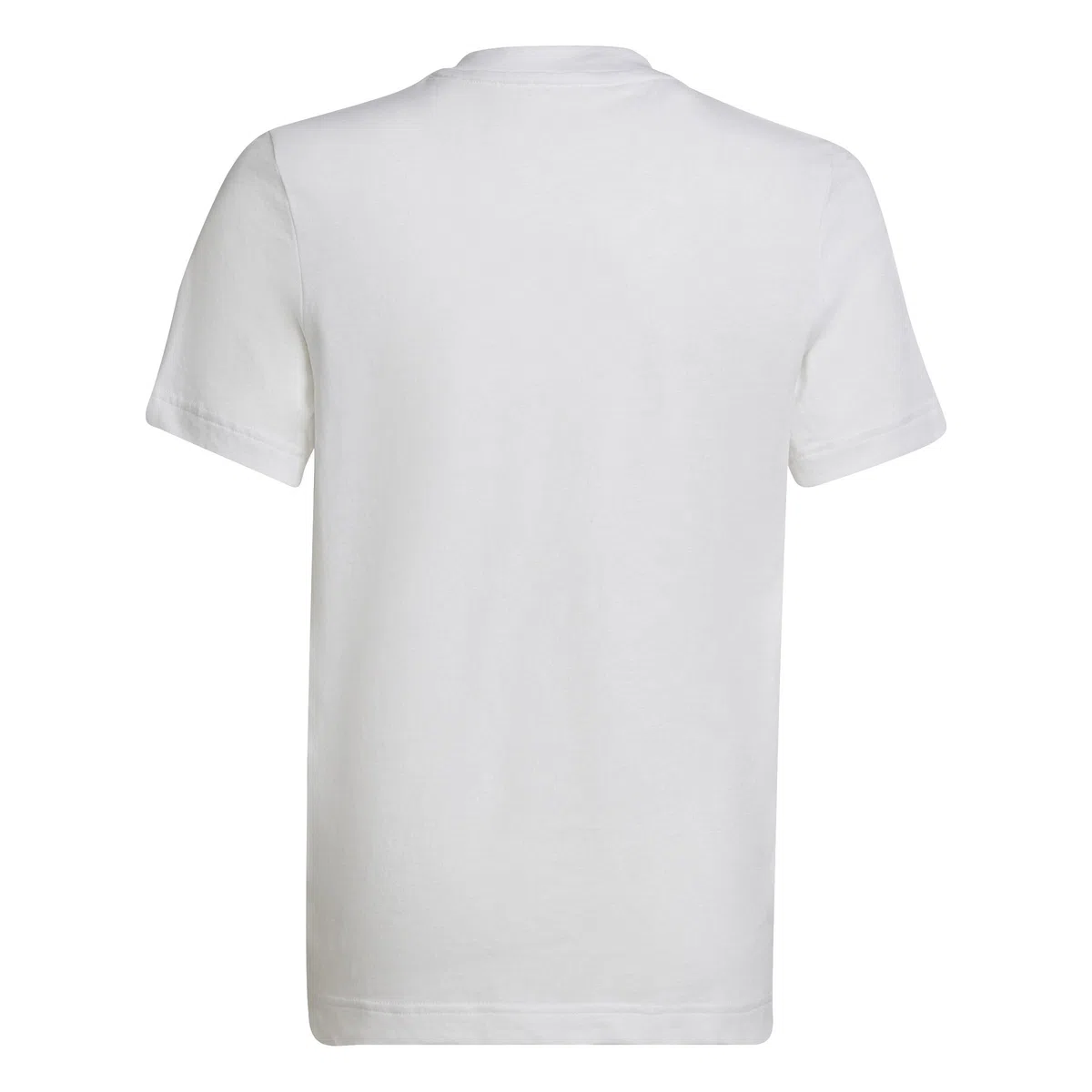 adidas Entrada 22 T-Shirt, T-Shirt Unisex - Bambini e ragazzi, White, 152