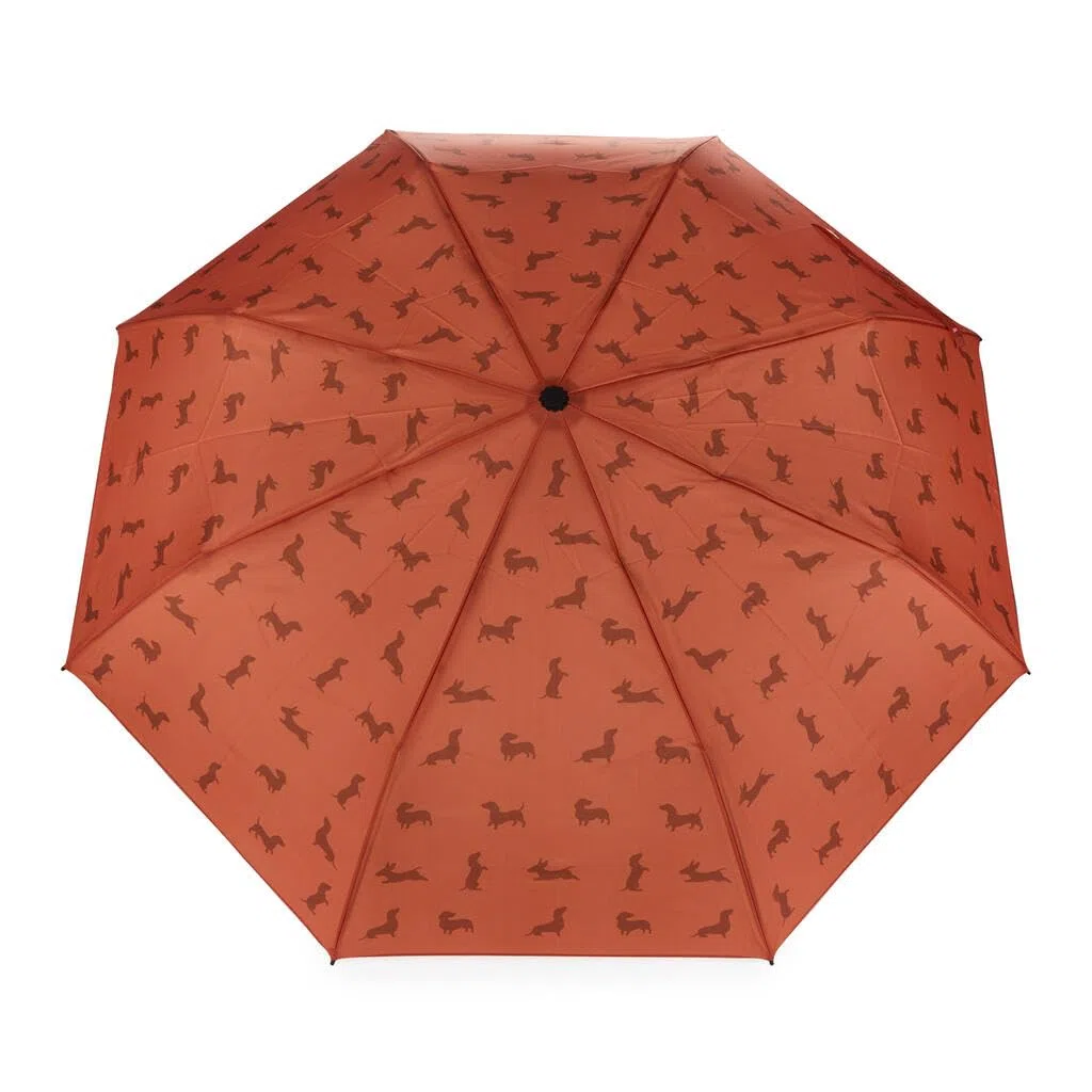 Balvi Ombrello Teckel Colore marrone Ombrello a forma di bassotto con custodia Nylon
