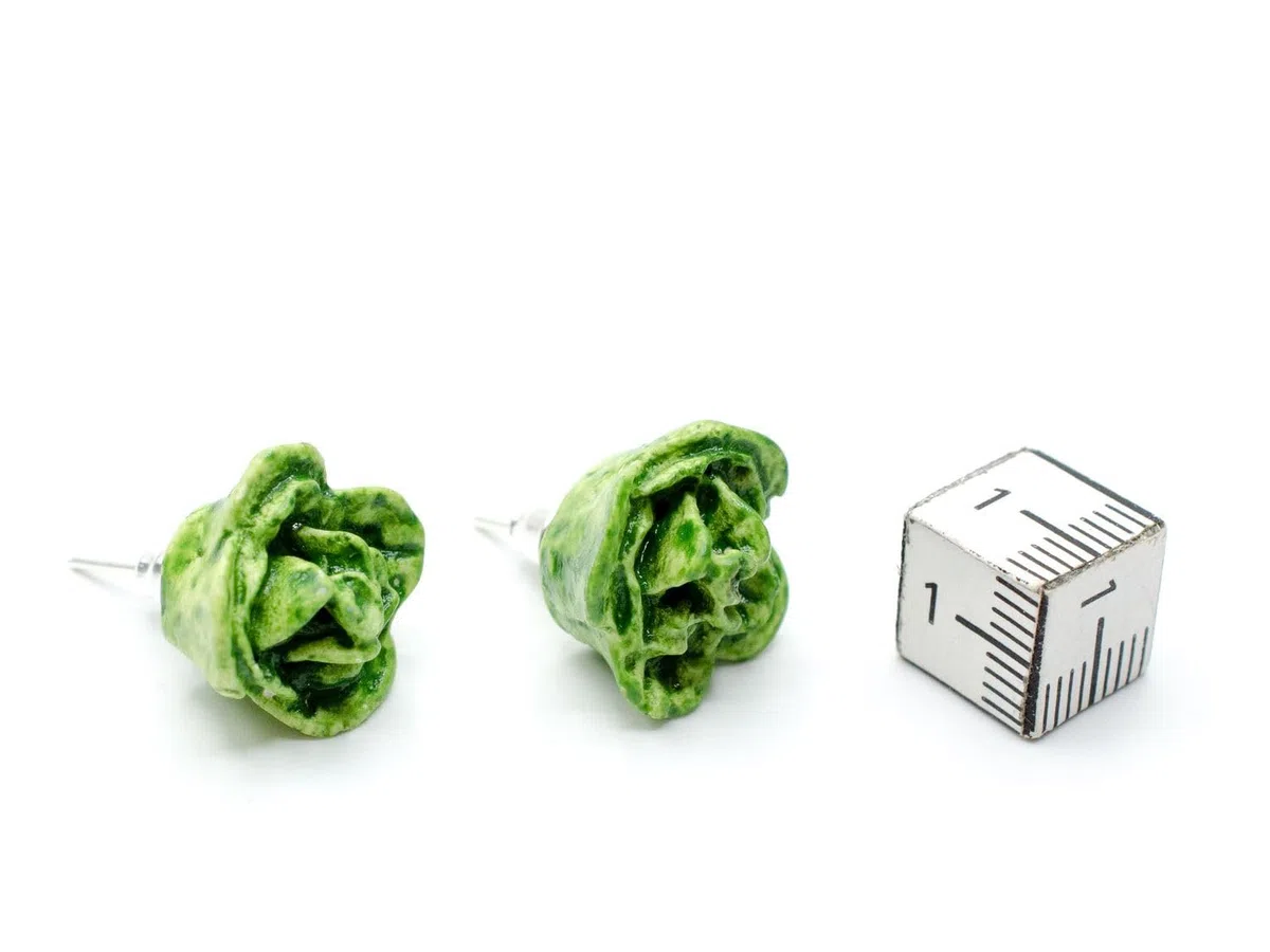 Orecchini a lobo insalata di lattuga Miniblings insalate piante verdure verdi, 10 mm, Plastica, non noto