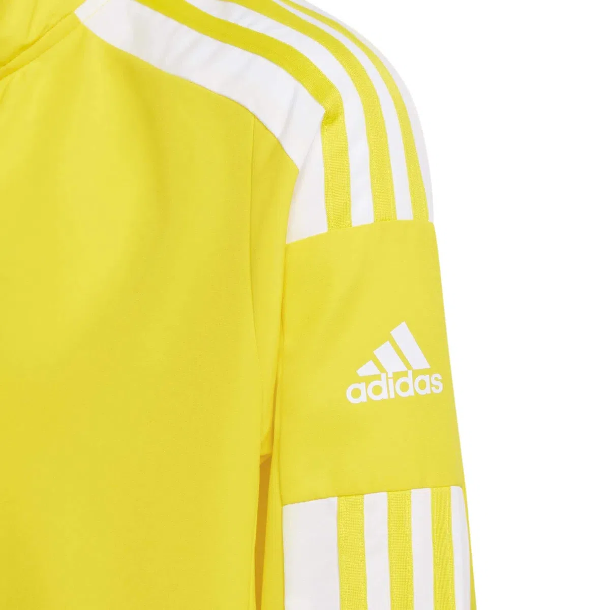 Adidas Unisex - Bambini Squadra 21 Presentation Jacket, Team Yellow/White, 15-16 Years