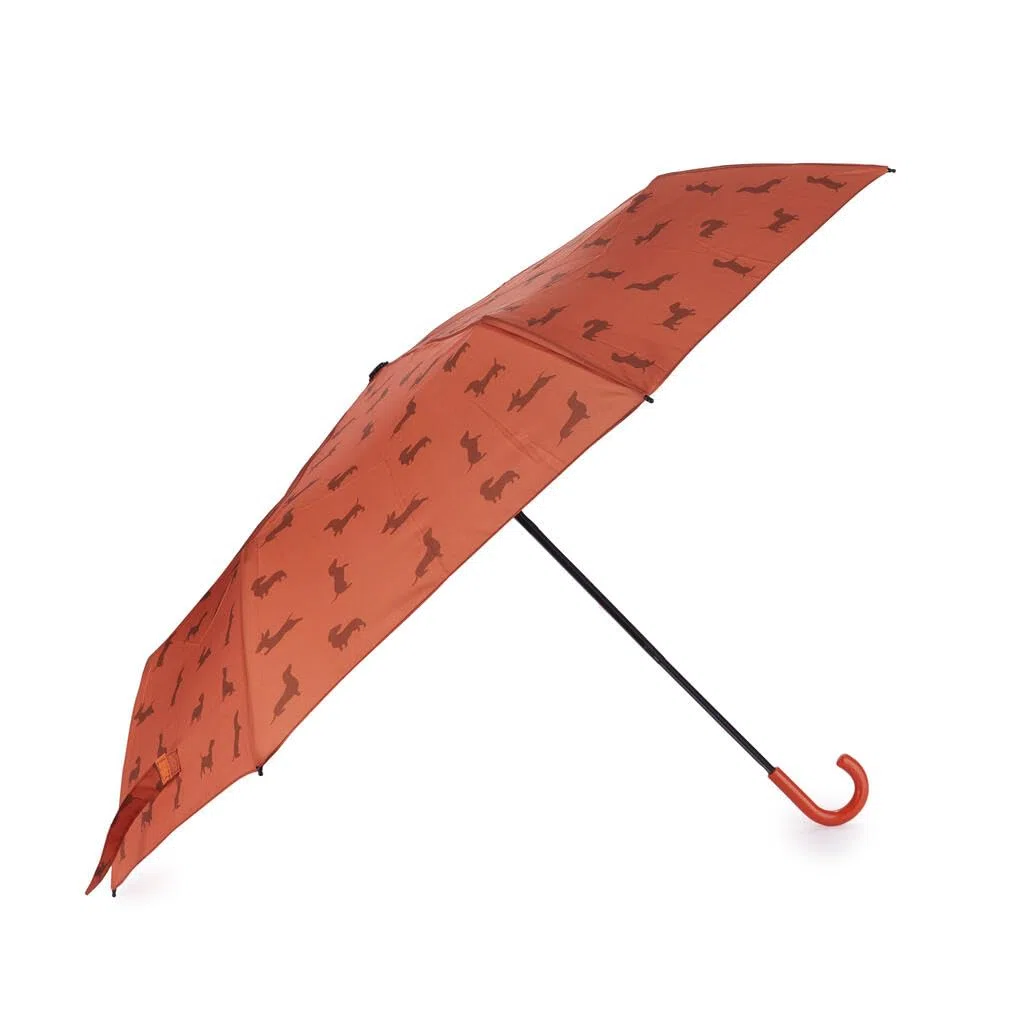 Balvi Ombrello Teckel Colore marrone Ombrello a forma di bassotto con custodia Nylon