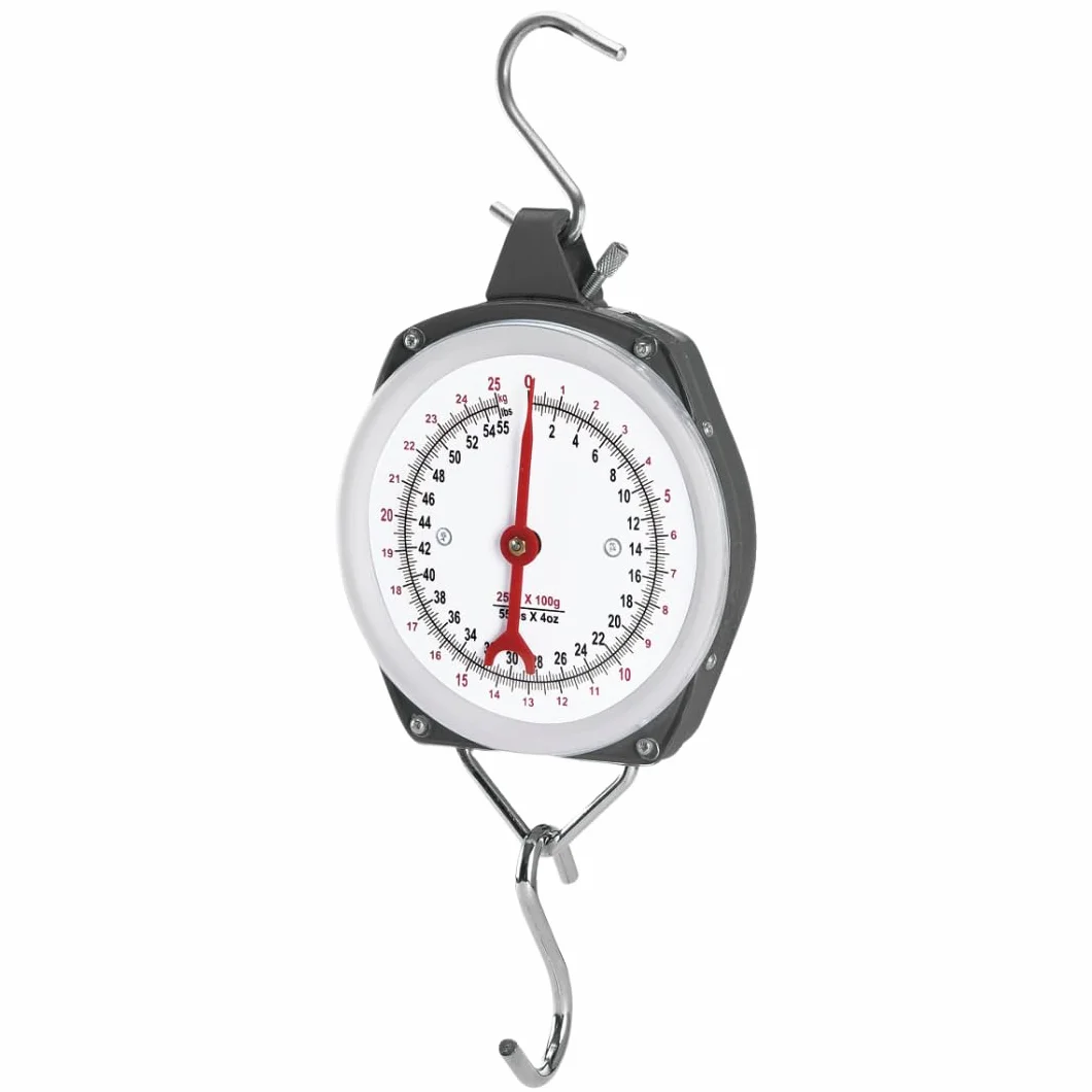 PFIFF 103108 - Bilancia rapida con corpo in metallo resistente agli urti e frontale in plexiglas, con due ganci in acciaio inox, 200 kg
