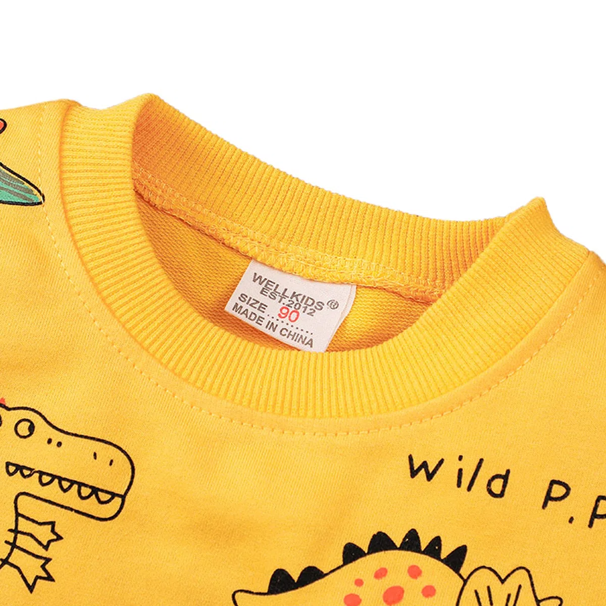 amropi Ragazzi Tuta Dinosauro Stampato Felpa e Jogging Pantaloni 2 Pezzi Completo Bambino Set per 1-6 Anni