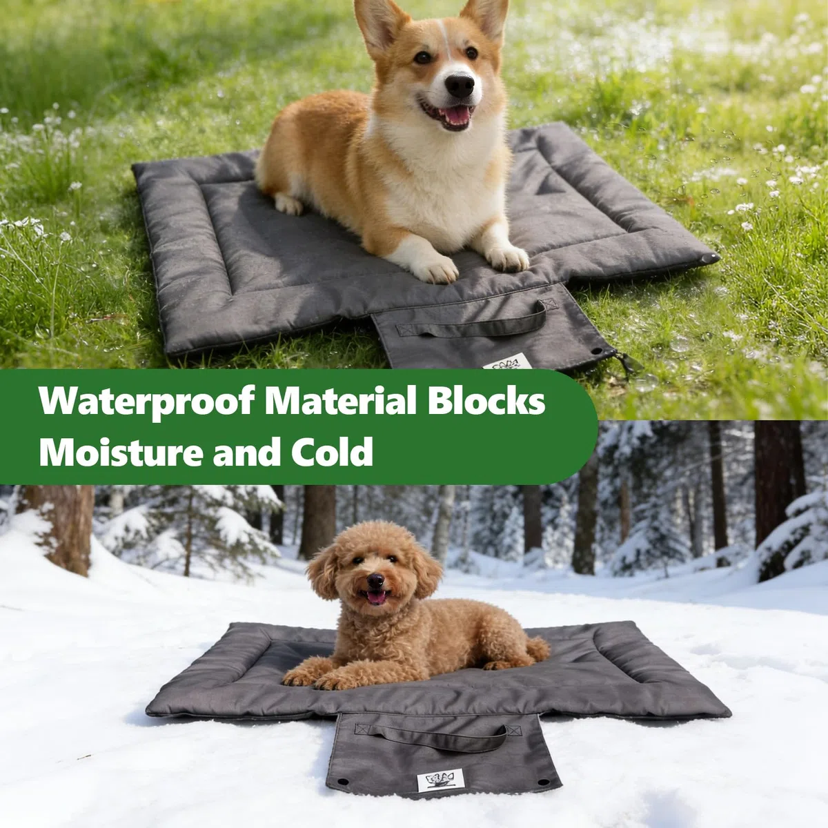 Coperta per Cani da Viaggio, 70 x 50 cm Impermeabile Antiscivolo Lavabile in Lavatrice Pieghevole Traspirante Resistente agli Strappi per Auto Campeggio Casa Interno Esterno per Cani Gatti