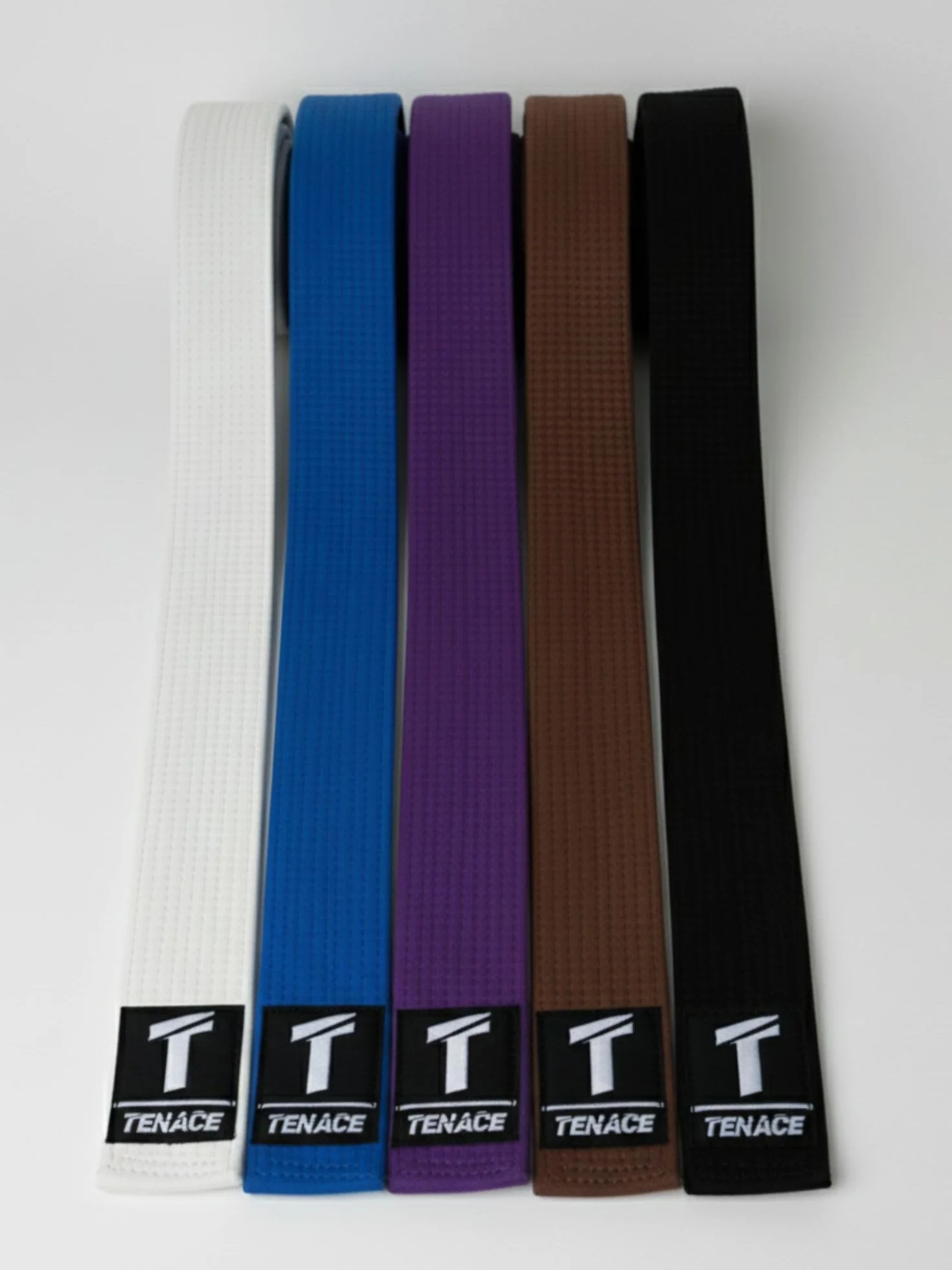 Tenace Cintura BJJ, Jiu Jitsu