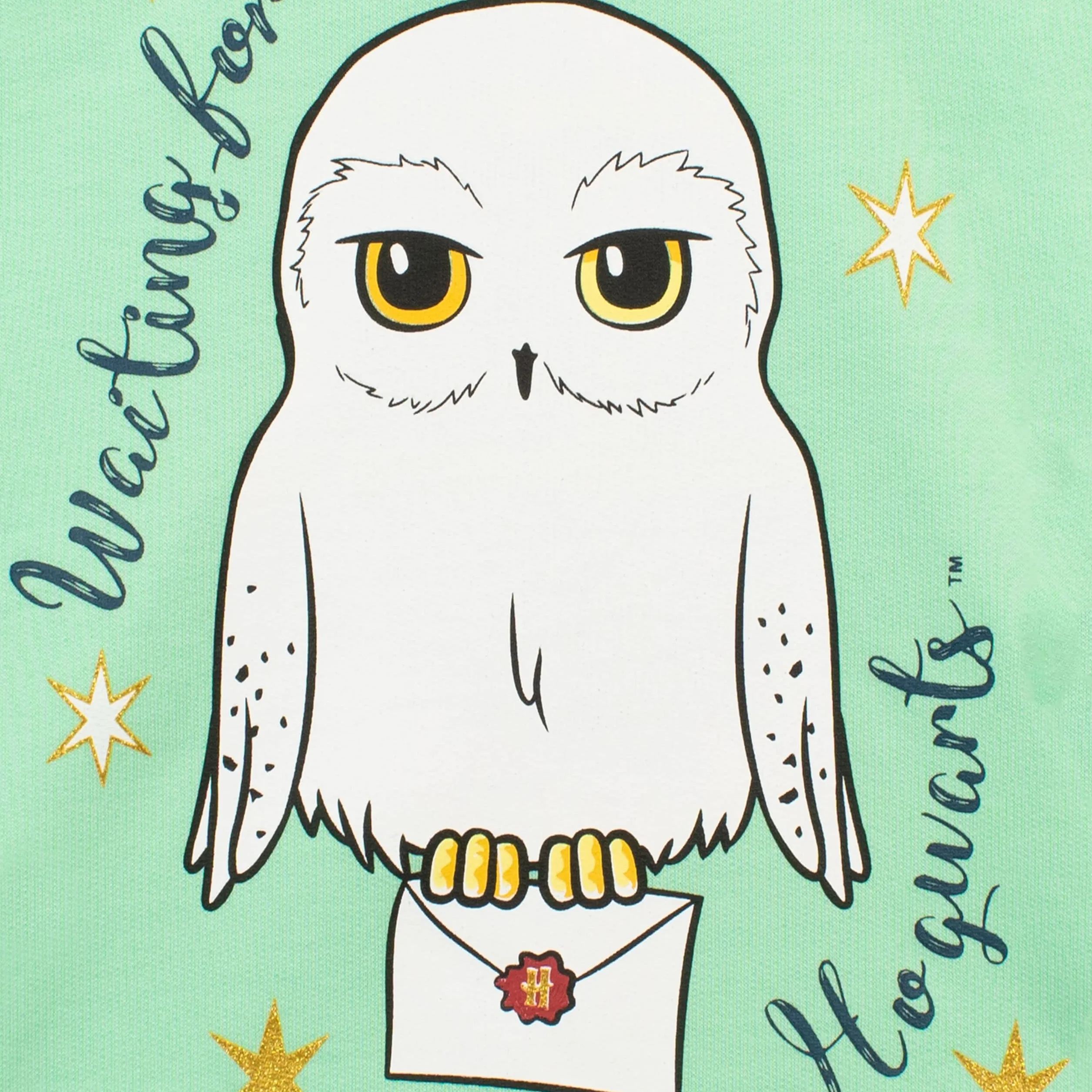Harry Potter Felpa Bambina | Felpe con Cappuccio Hedwig | Hoodie per Bambini