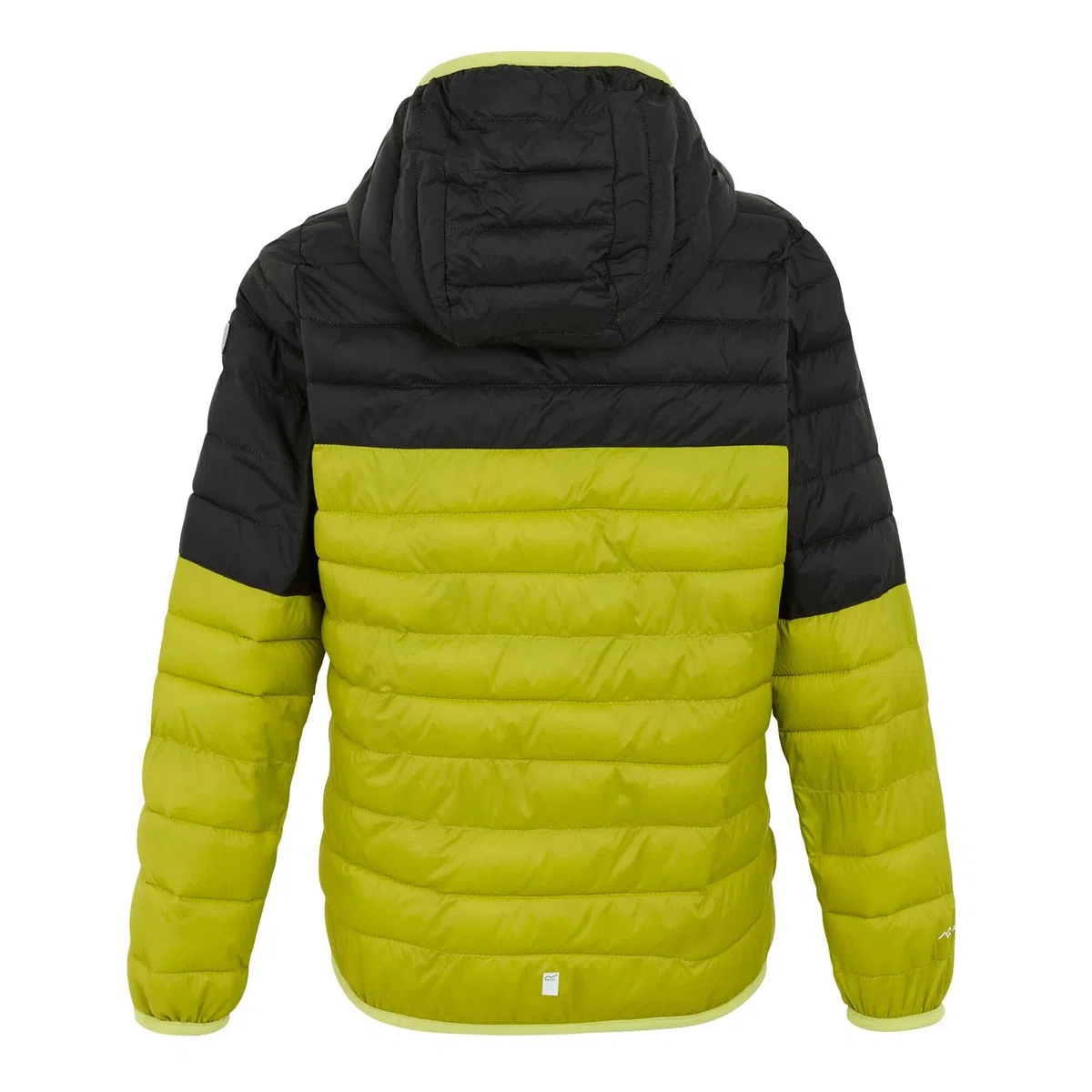 Regatta Kids' Hooded Hillpack Iii Jacket Giacca imbottita Unisex - Bambini e ragazzi