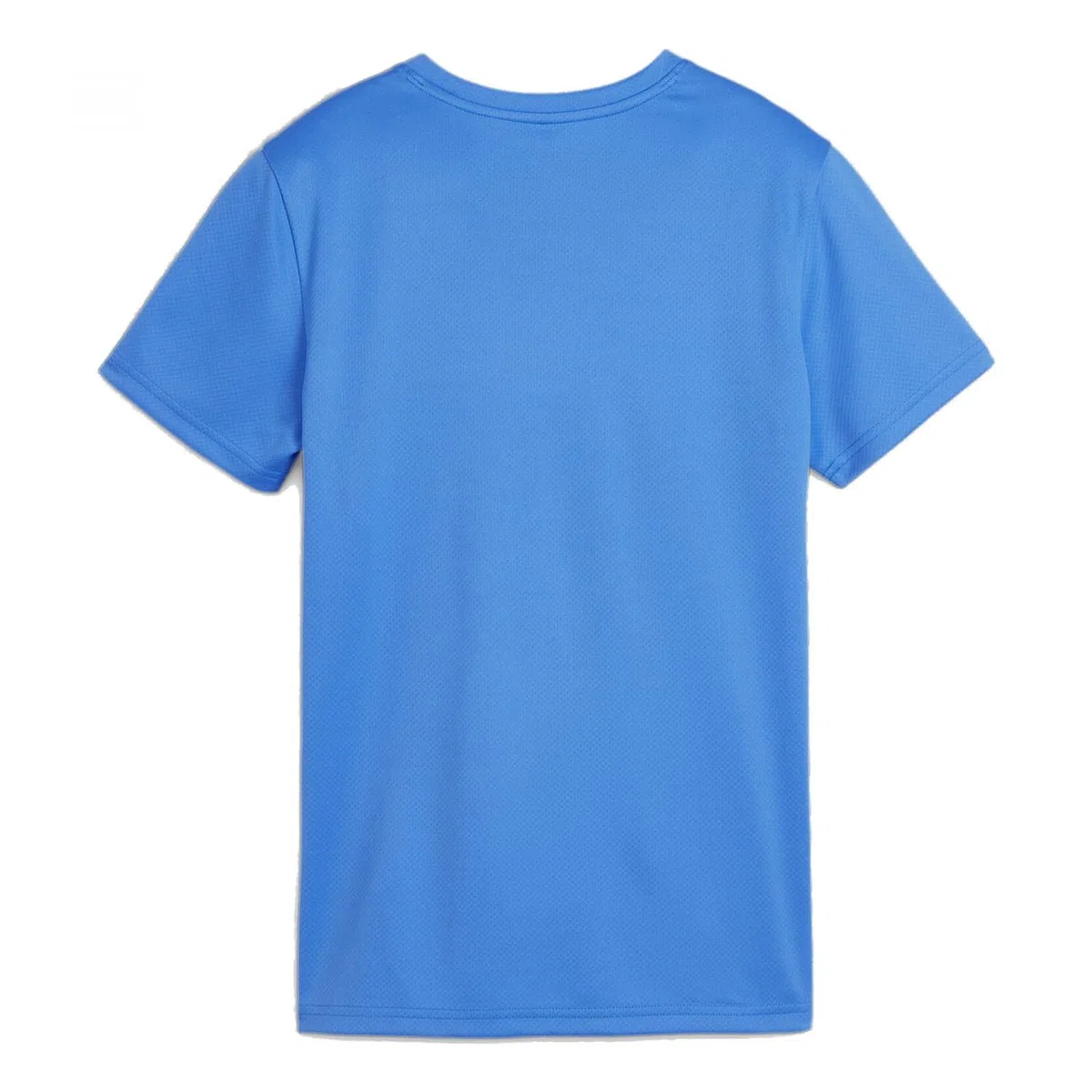 Puma Teamgoal Jersey Wmn Tee Unisex - Adulto (Pacco da 1)