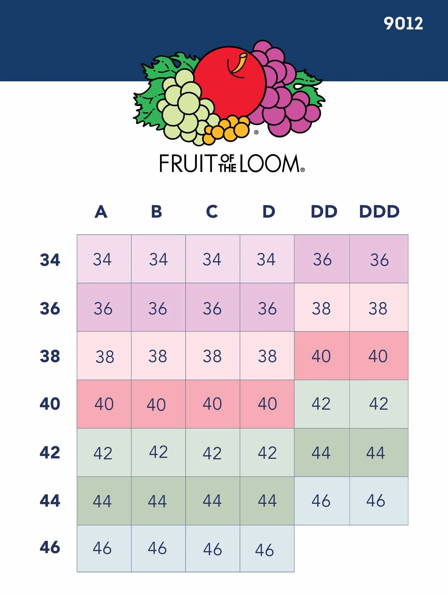 Fruit of The Loom Reggiseno Sportivo in Cotone con Spalline Sottili, Confezione da 3 Pezzi, Colori alla Moda Reggiseno Sportivo Donna (Pacco da 3)
