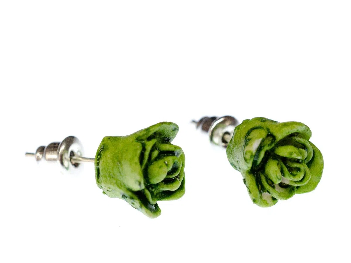 Orecchini a lobo insalata di lattuga Miniblings insalate piante verdure verdi, 10 mm, Plastica, non noto